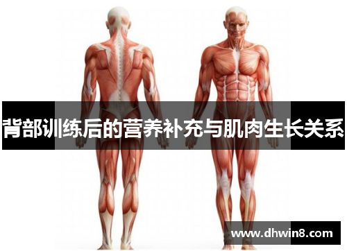 背部训练后的营养补充与肌肉生长关系